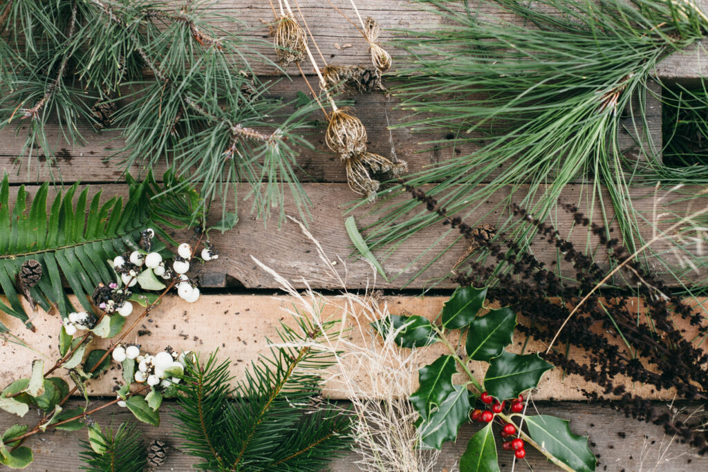 Overhead photo of foraged greens and berries for simple holiday decorating