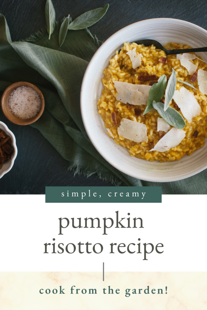Pinnable Image of a bowl of pumpkin risotto with text explaining where to find the recipe