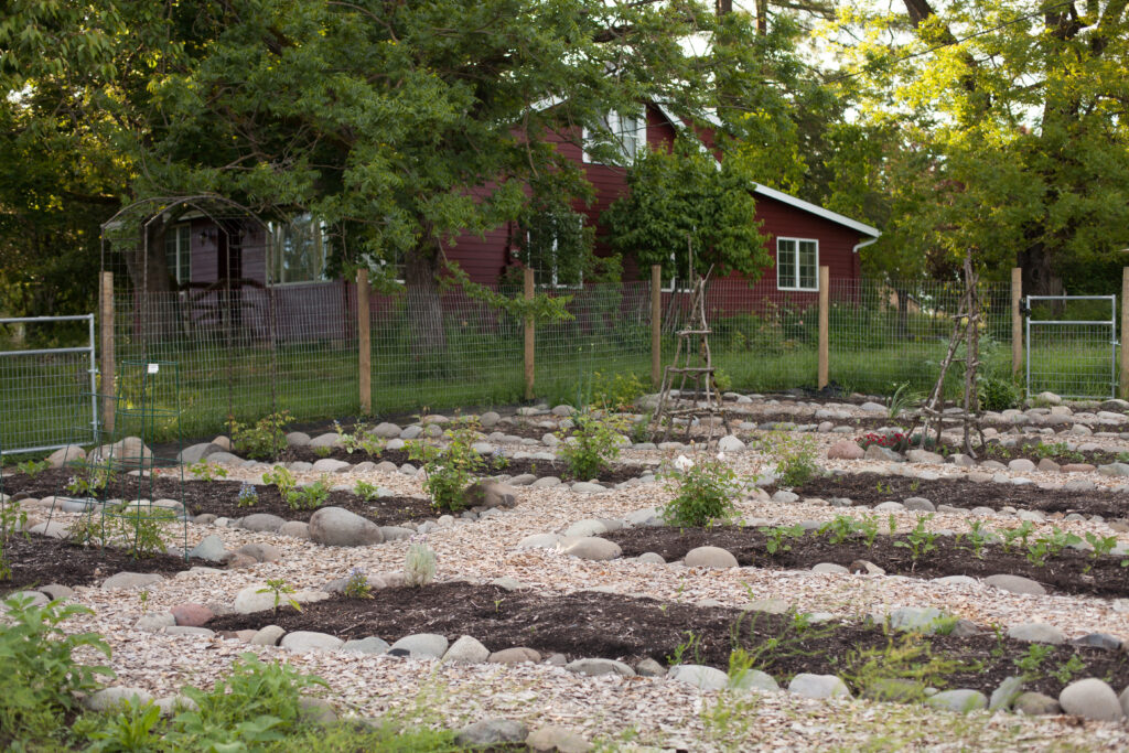 Photo of a Potager style Garden, beds lined with rocks in front of a small red cottage
