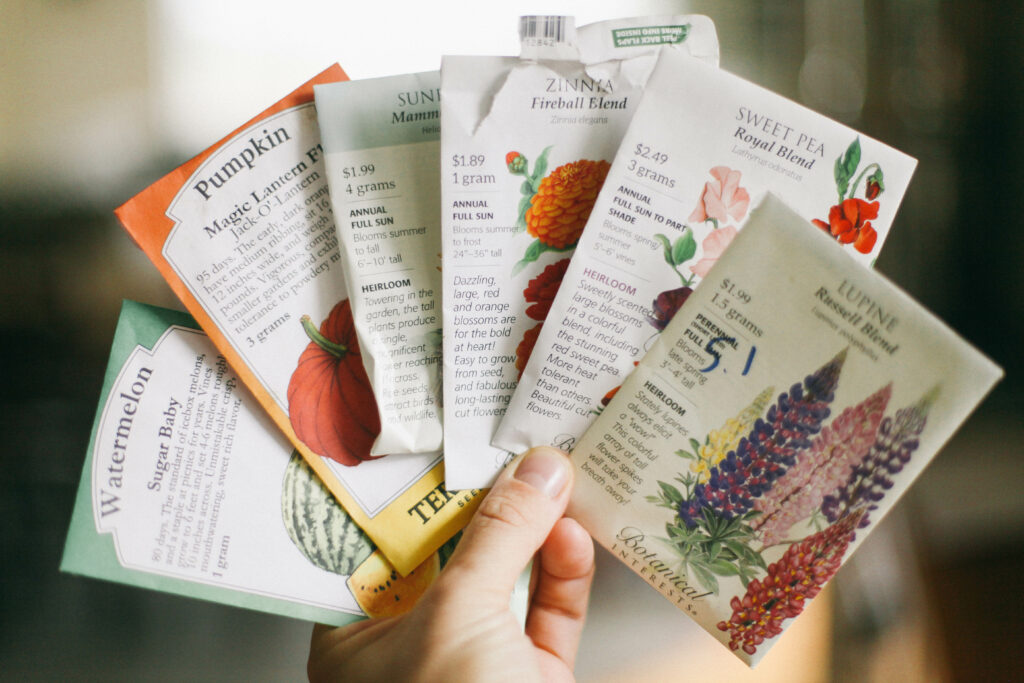 Image of a human hand holding seed packets for the garden, flowers and vegetables