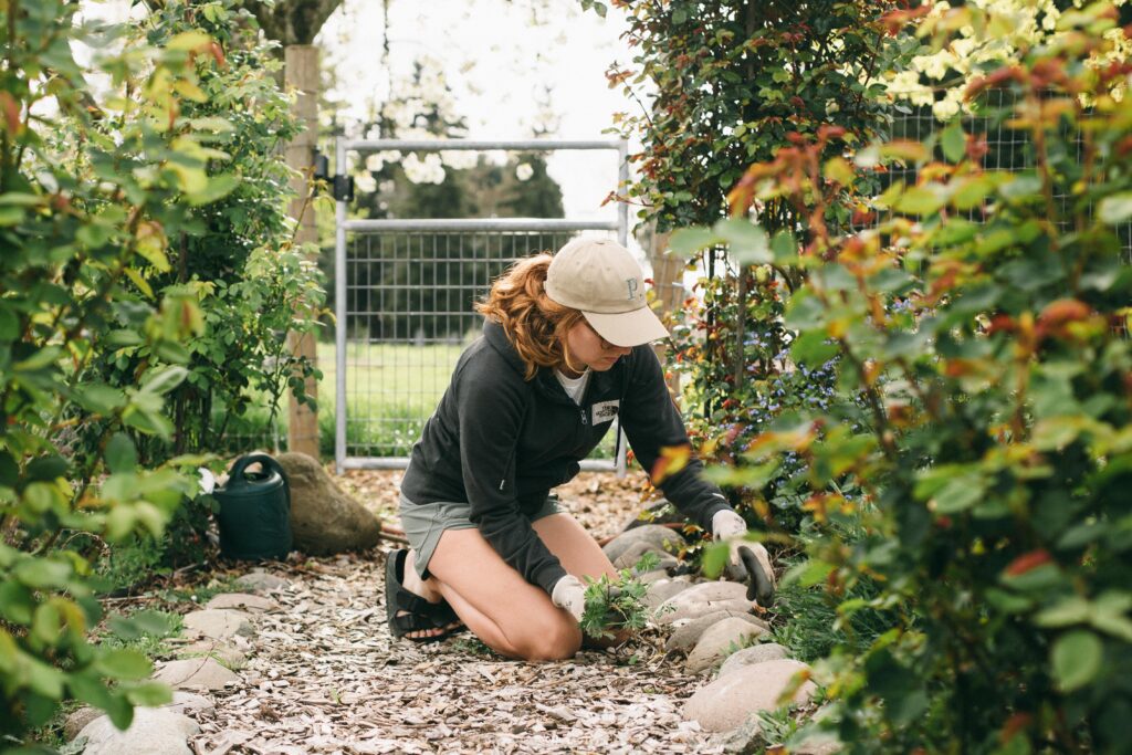 Photo of a woman on her knees pulling weeds in a potager garden
