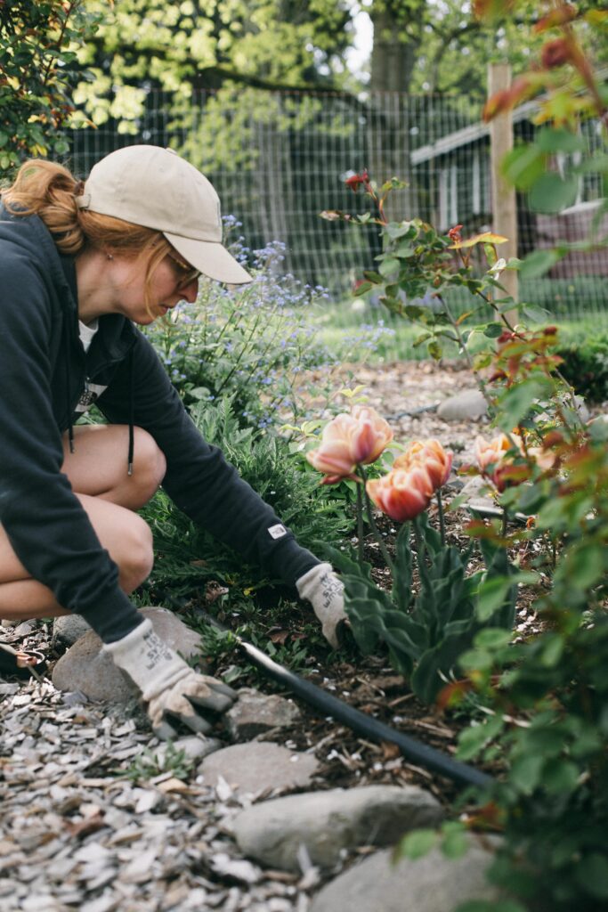 Photo of a woman in a garden hat with garden gloves pulling weeds in a potager garden