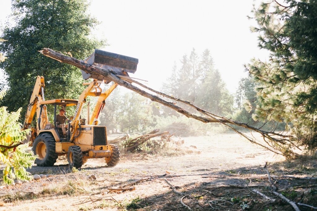 Clearing the land of over 30 downed trees from an historic ice storm was a factor in our homesteader burnout.