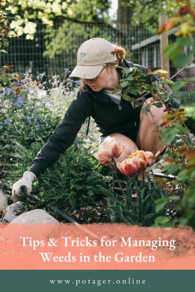 Pinnable image showing a woman pulling weeds in a potager garden and where to find tips and tricks for weed management