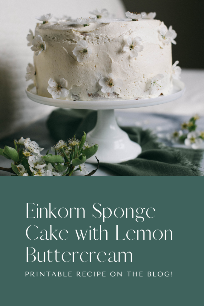 Pinnable image showing where to find a recipe for Einkorn Sponge Cake with Lemon Buttercream