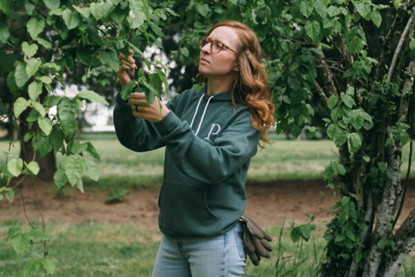 Image of a woman wearing a Potager Online green hoodie with an embroidered P trimming a fruit tree