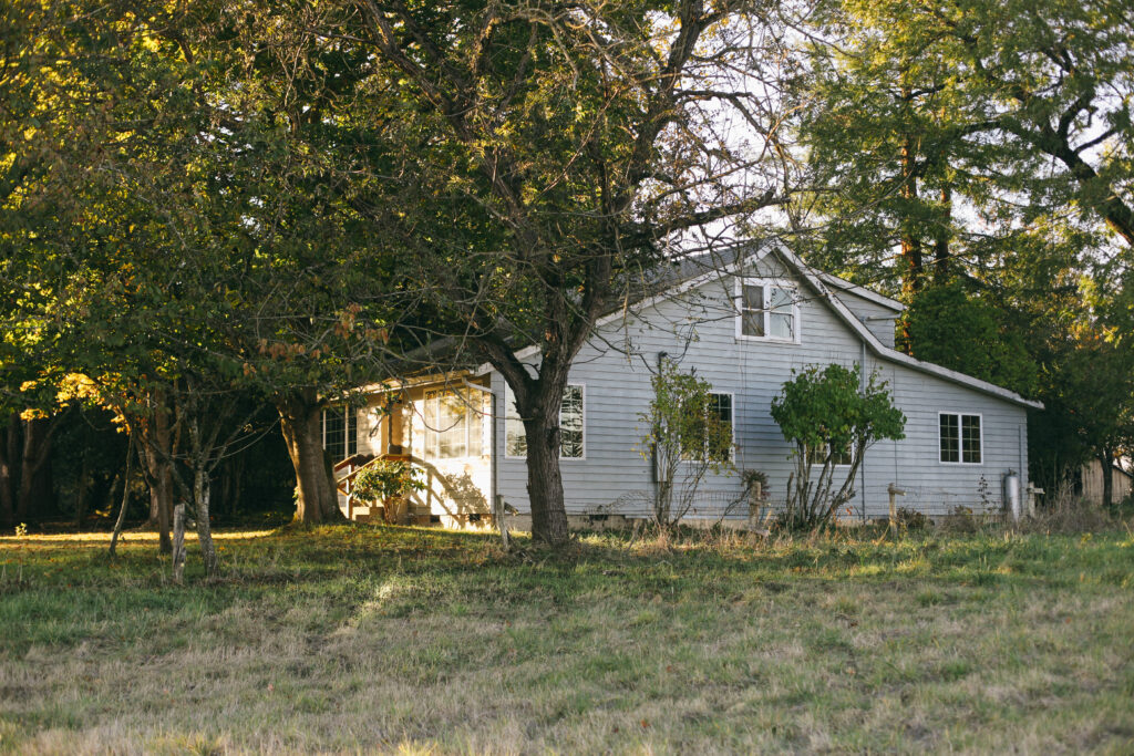 Image of a small blue cottage surrounded by large old trees on a homestead