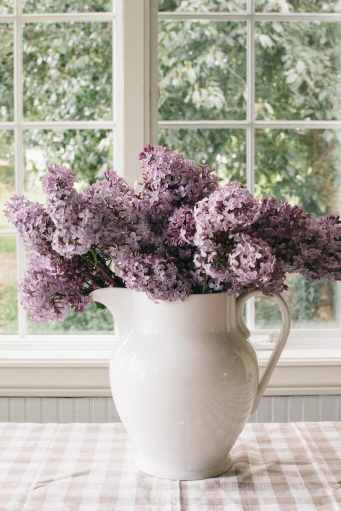 Photo of a white pitcher full of lilacs sitting on a table with a gingham tablecloth with a white window in the background