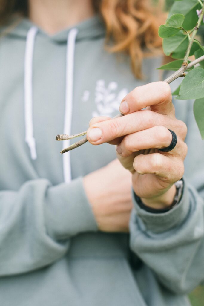 Image of a woman holding out a lilac stem with the stem cut in a fork to better drink water