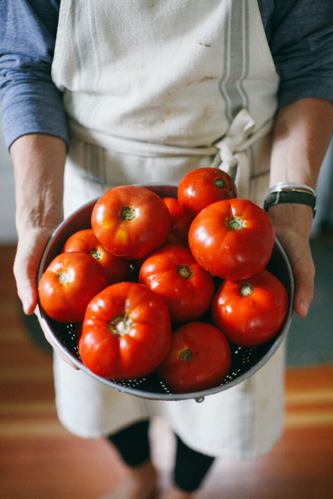 Photo of a woman holding a colander of red, freshly washed garden tomatoes
