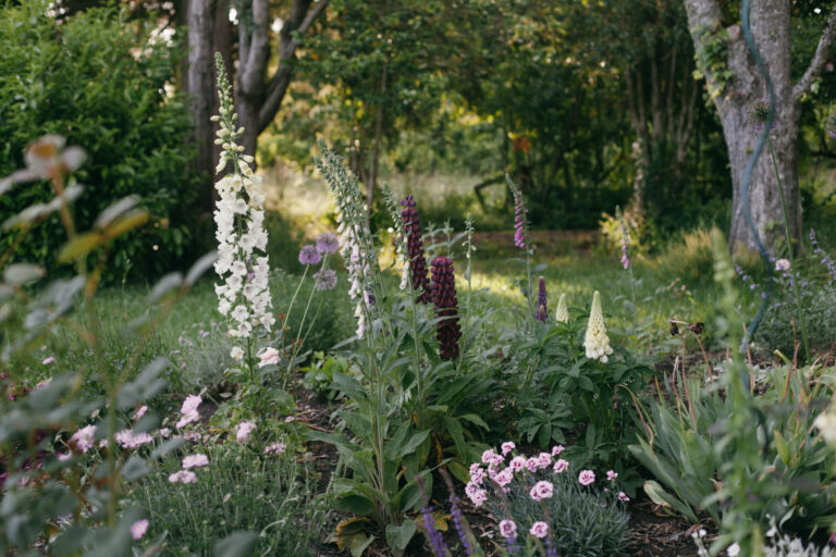 Image of a Swedish cottage garden in bloom