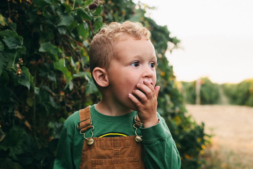Image of a little boy in a John Deere shirt and carhartt overalls eating Oregon blackberries for fantastic desserts