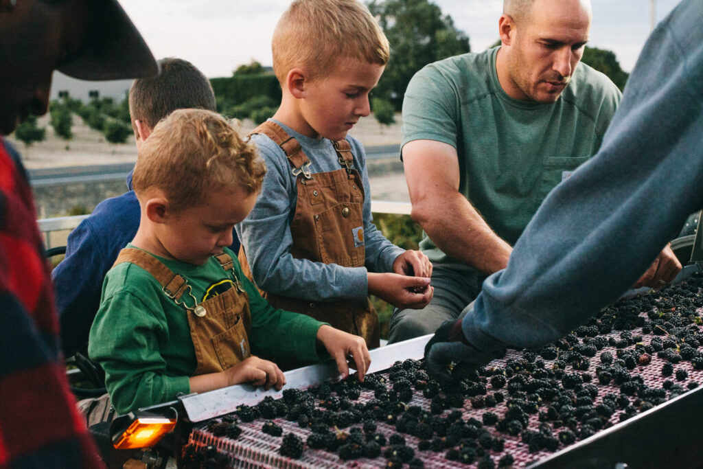 Image of two little boys working on a conveyer belt on a berry harvester on an Oregon berry farm for fantastic desserts