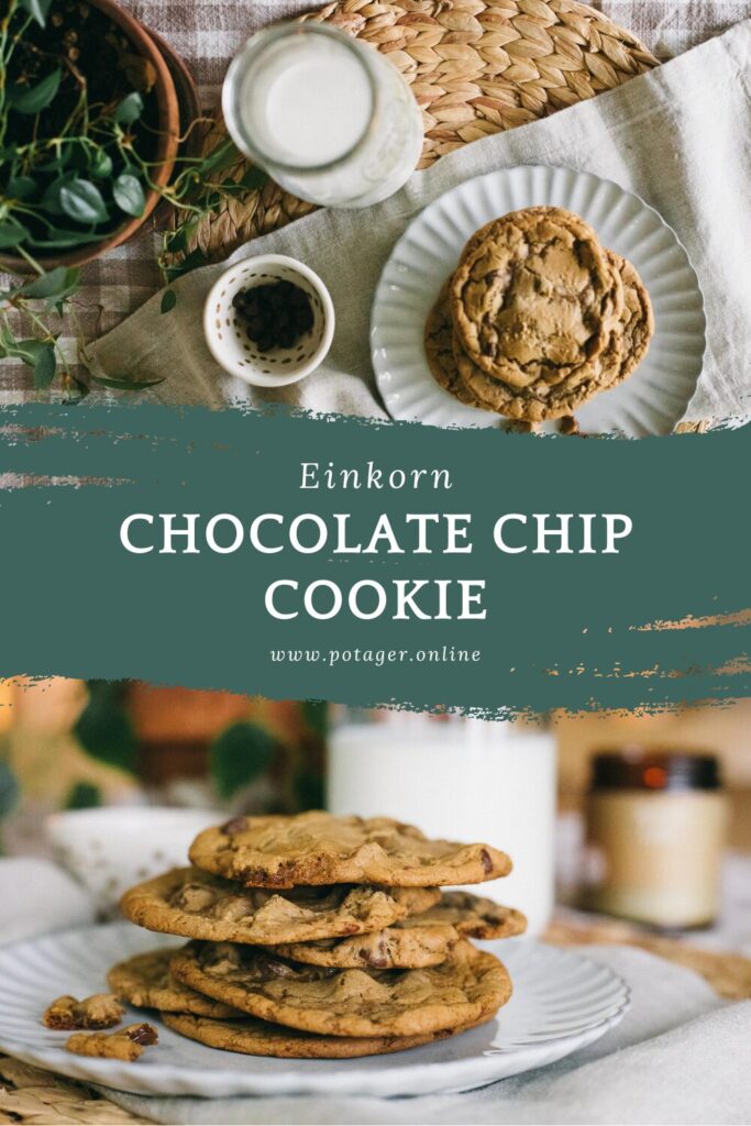 Pinnable image of where to find an Einkorn Chocolate Chip Cookie Recipe